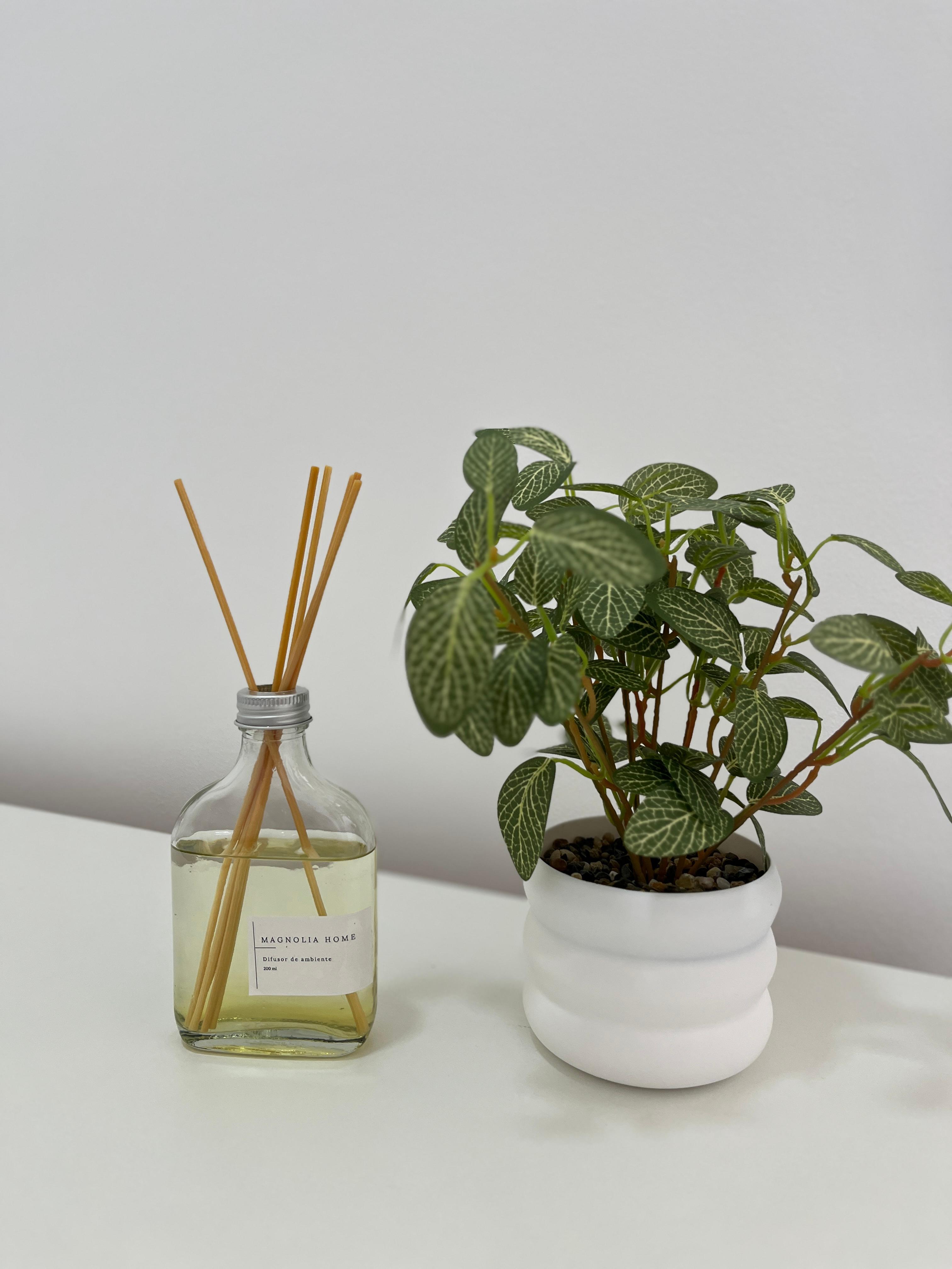 Instalación del Spa 14