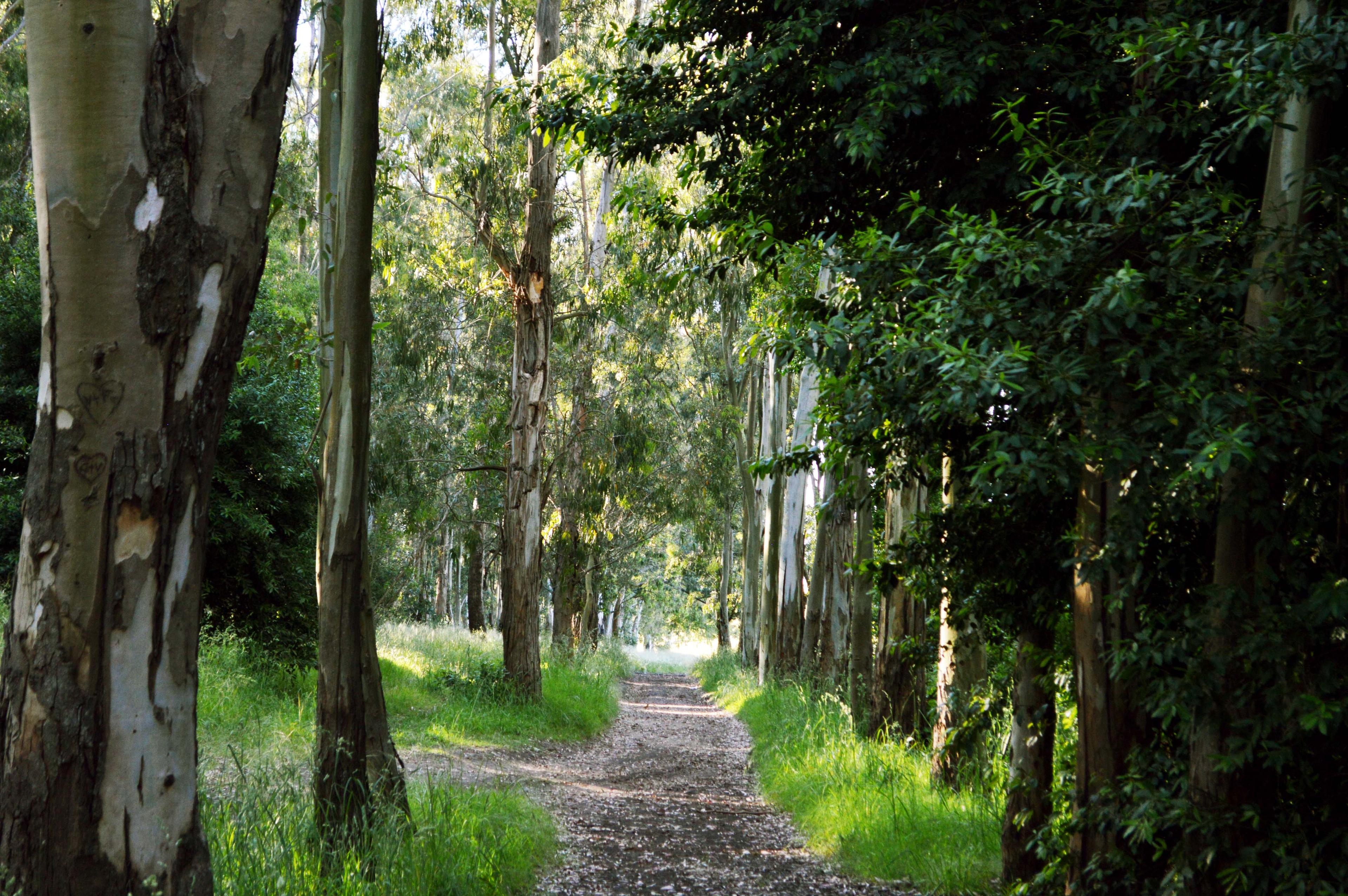 Villa Cacique - Imagen 26