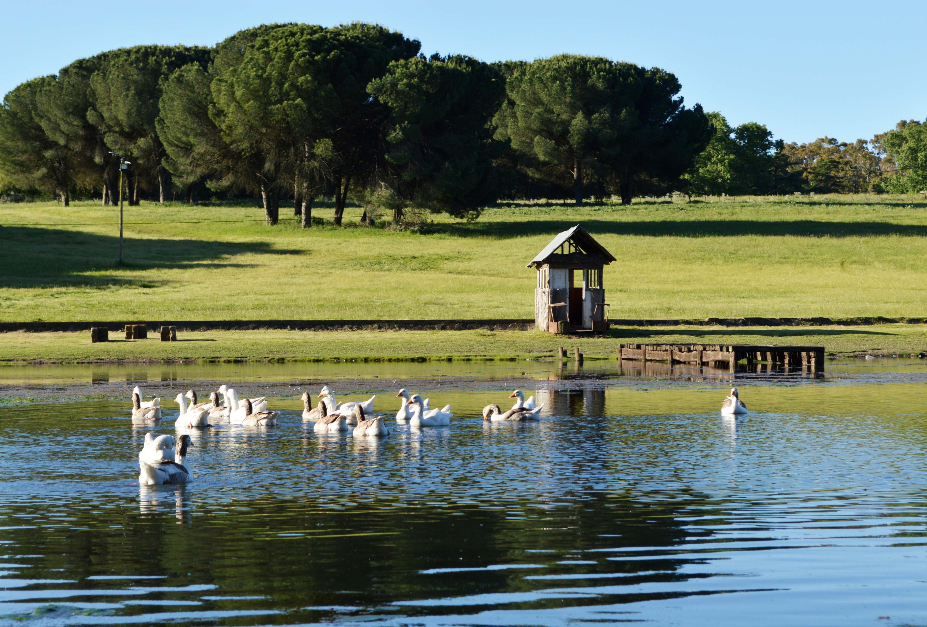 Villa Cacique - Imagen 28