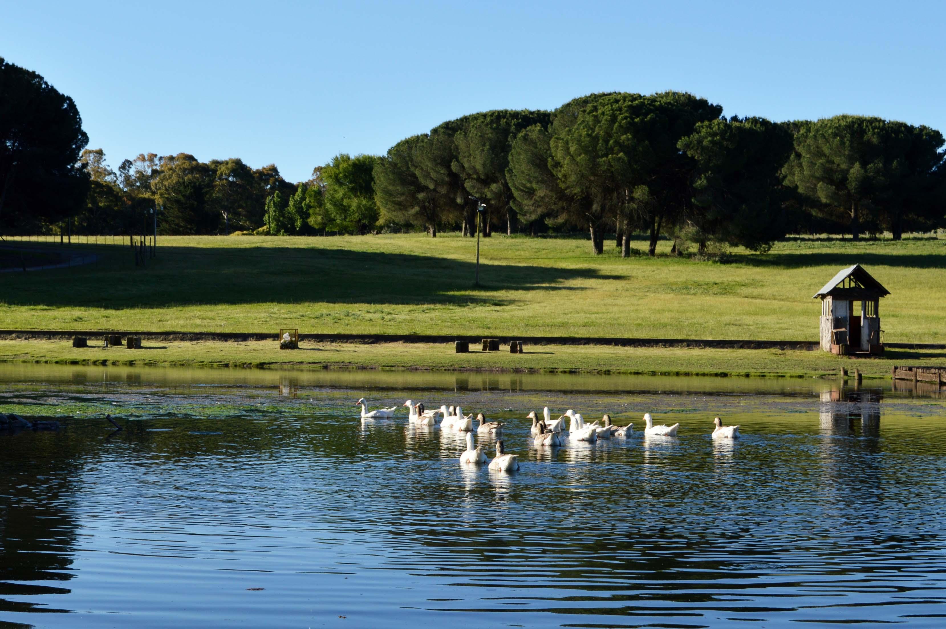 Villa Cacique - Imagen 30