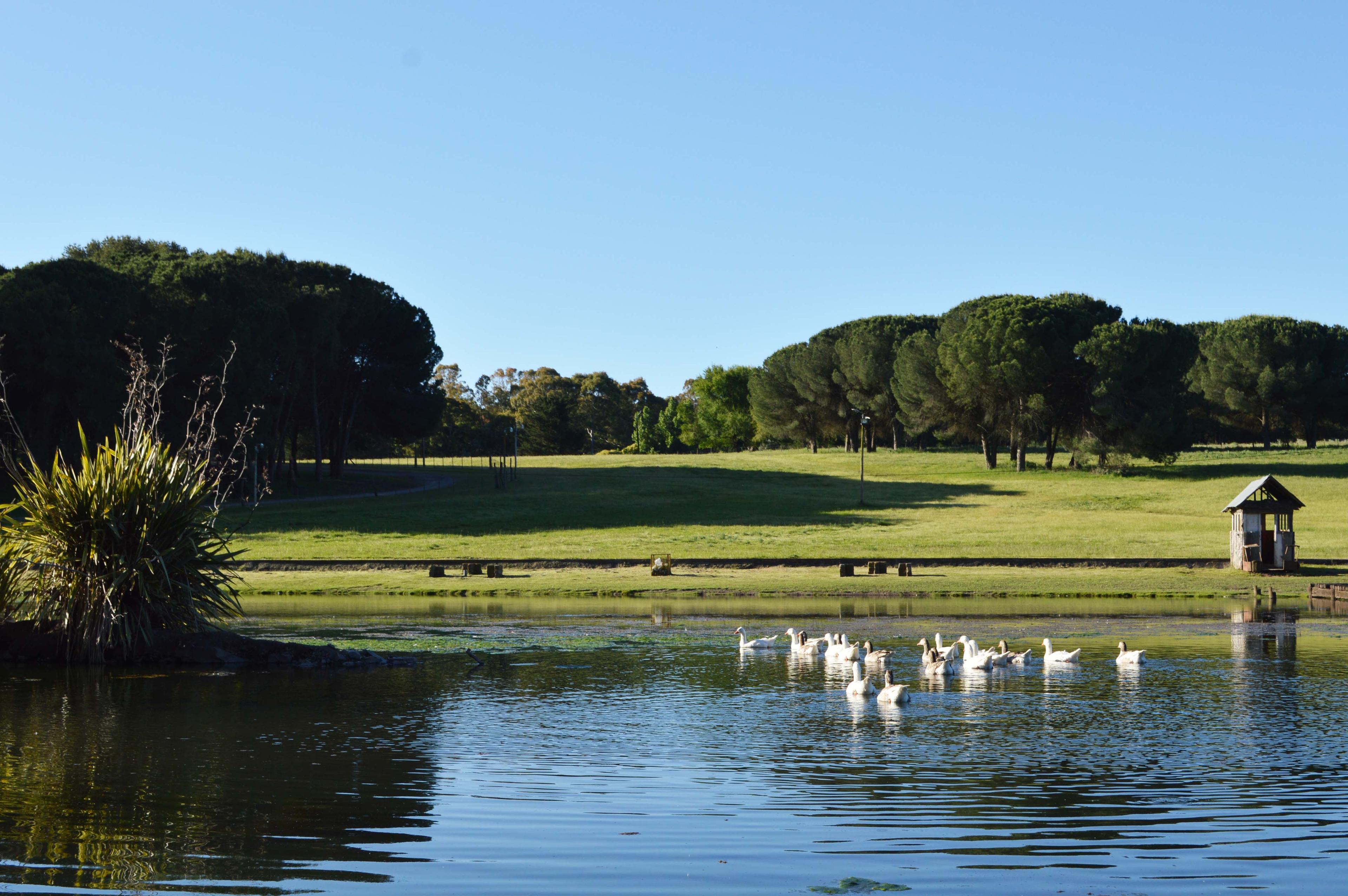 Villa Cacique - Imagen 31