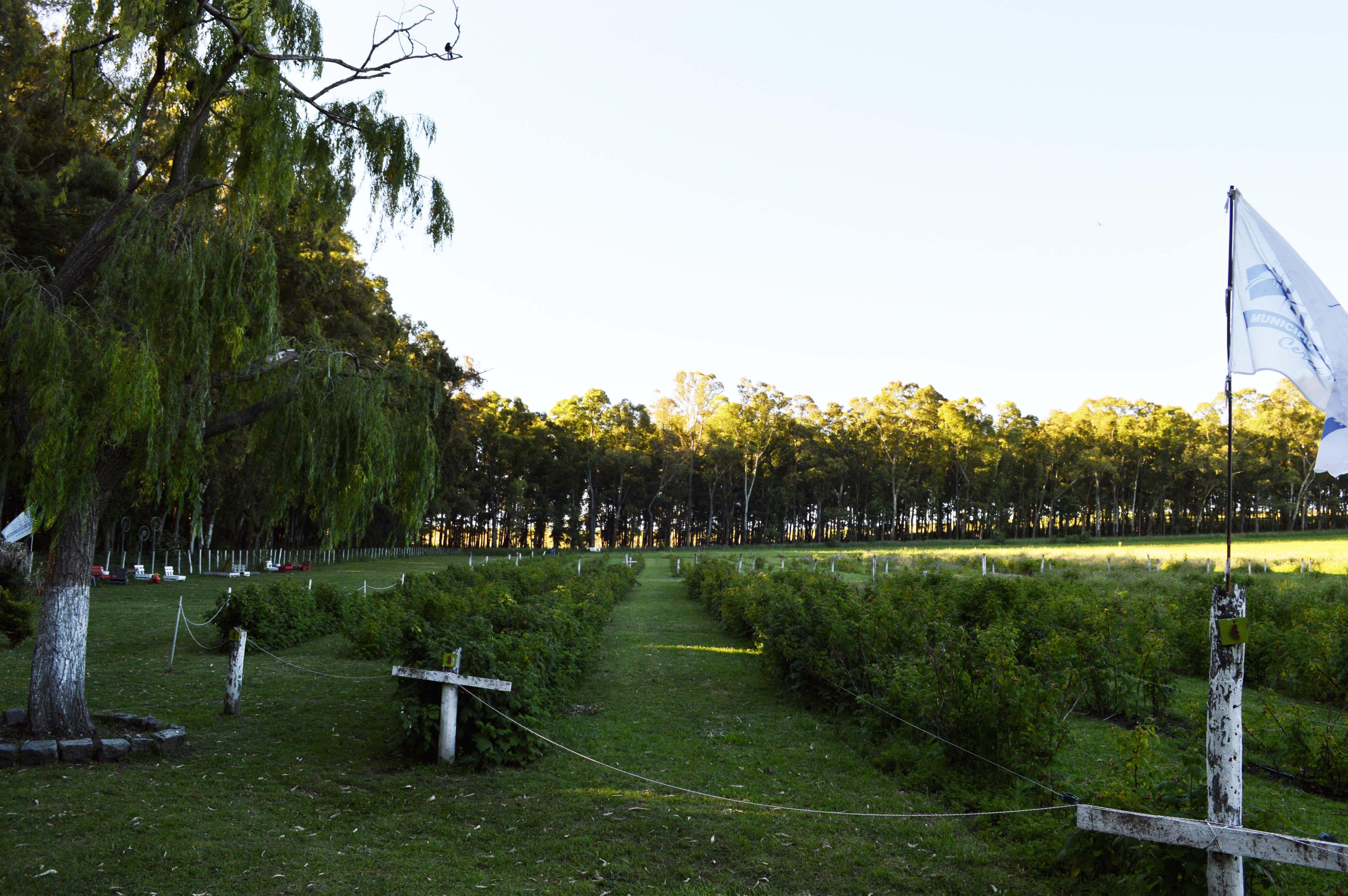 Villa Cacique - Imagen 32