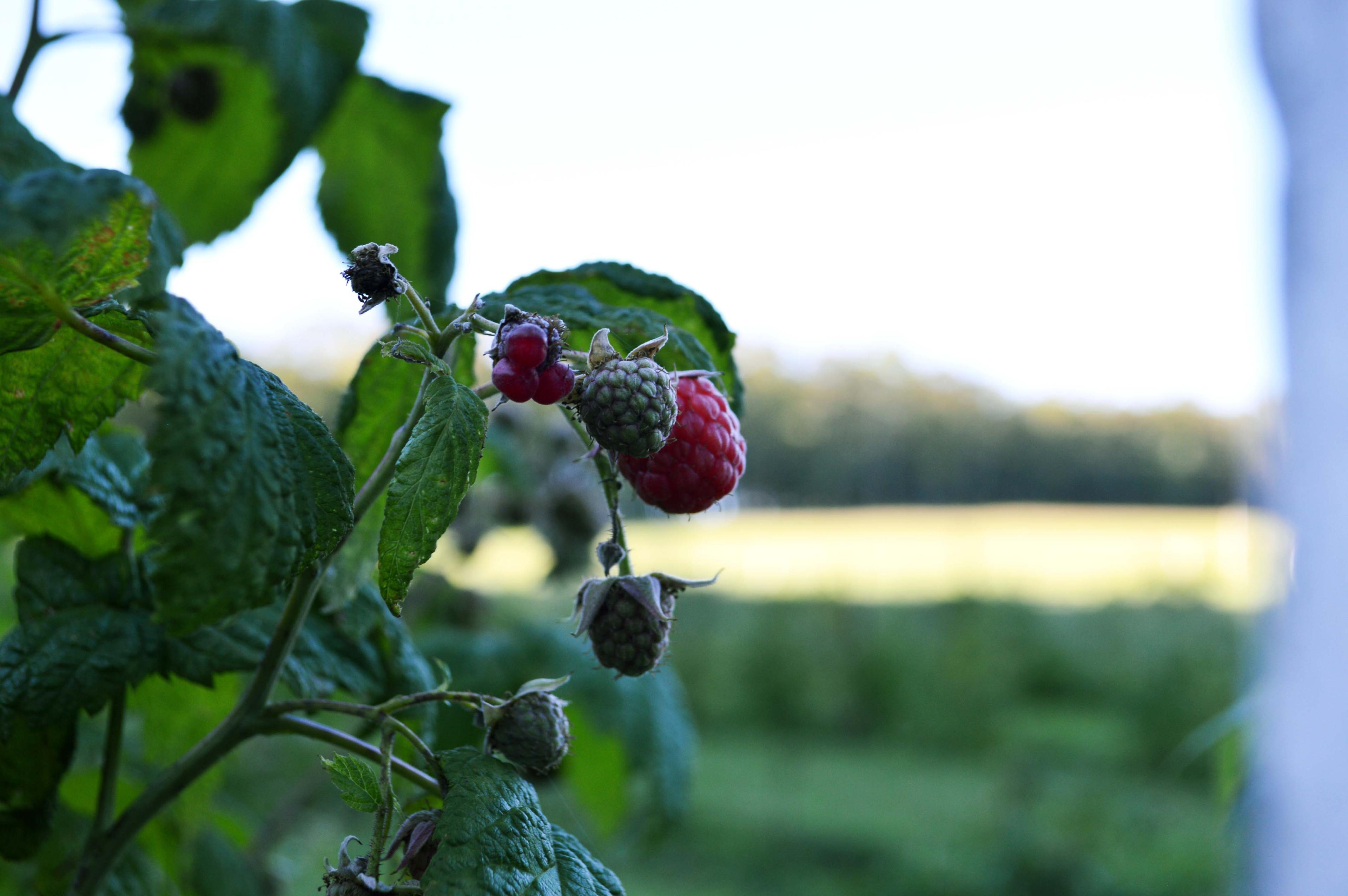 Villa Cacique - Imagen 33