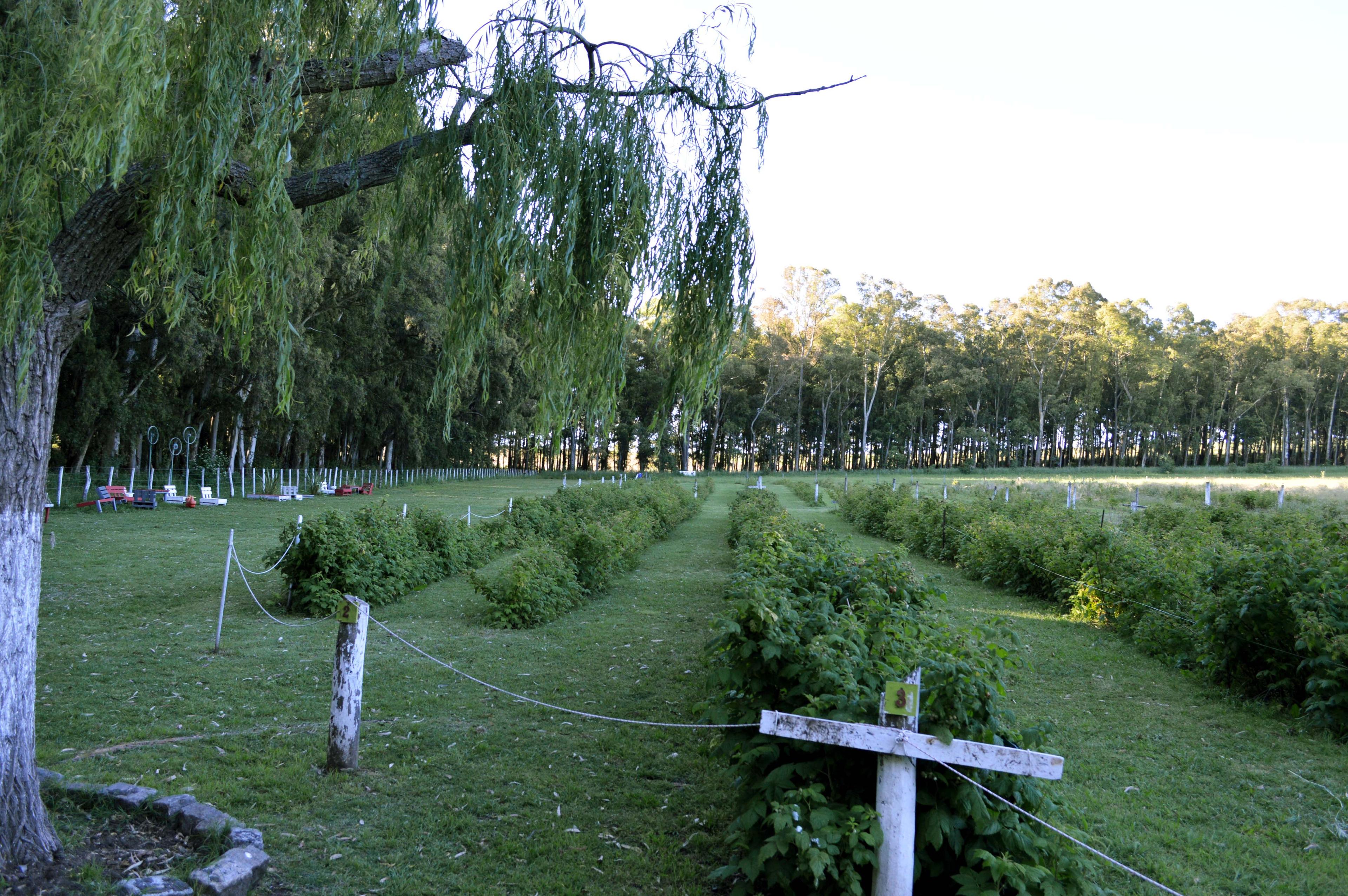 Villa Cacique - Imagen 34