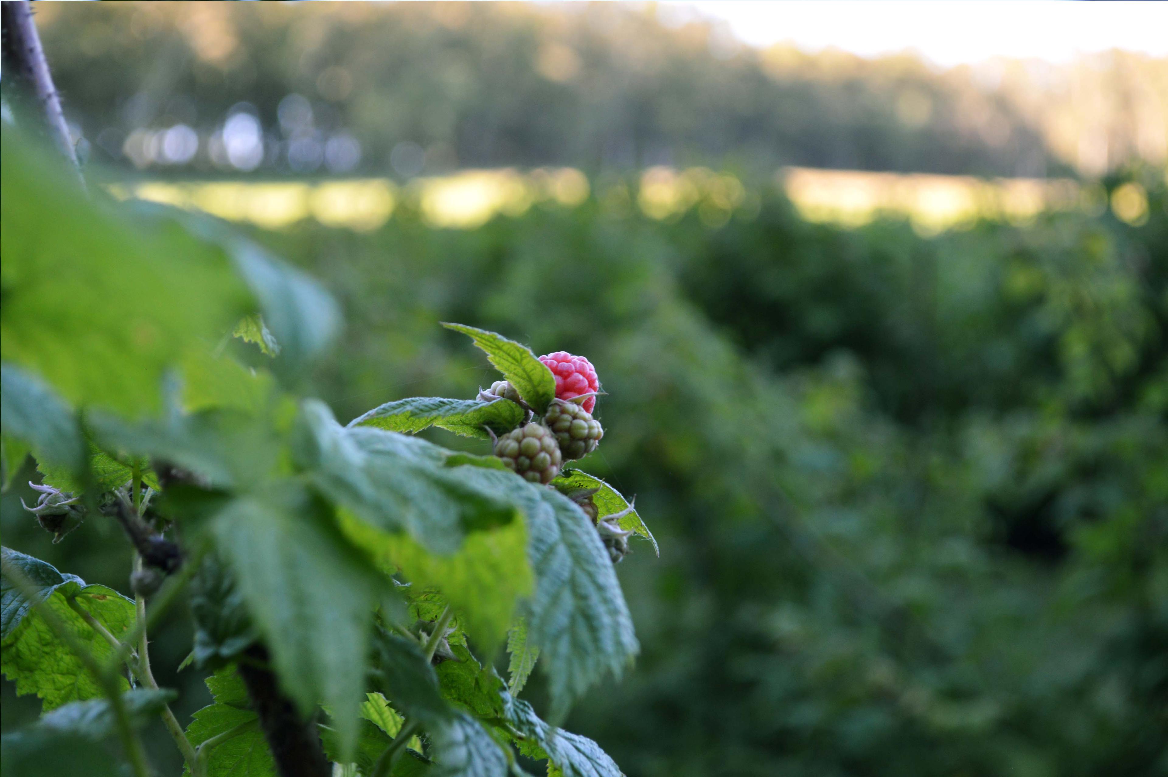 Villa Cacique - Imagen 35