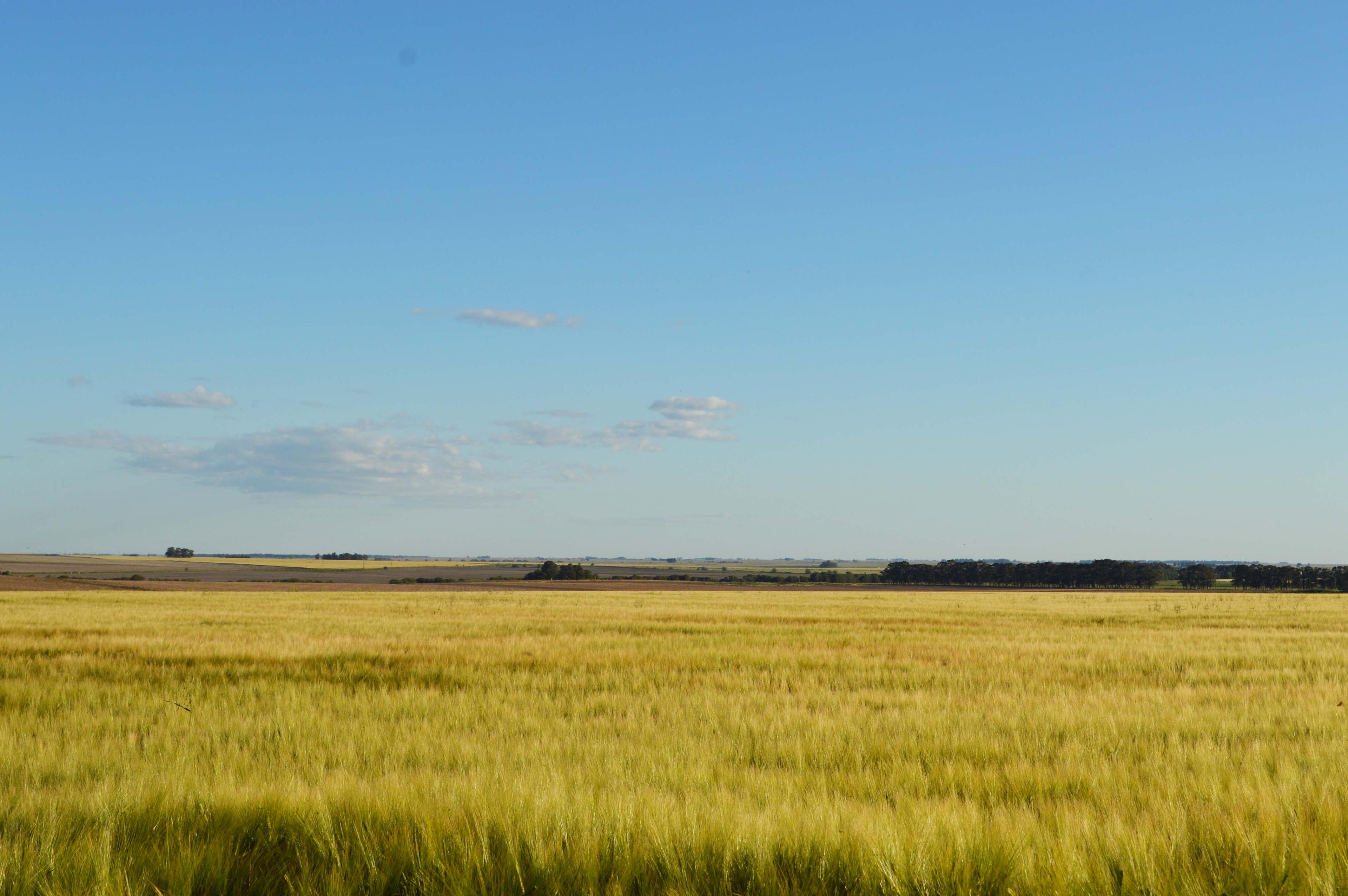 Villa Cacique - Imagen 36