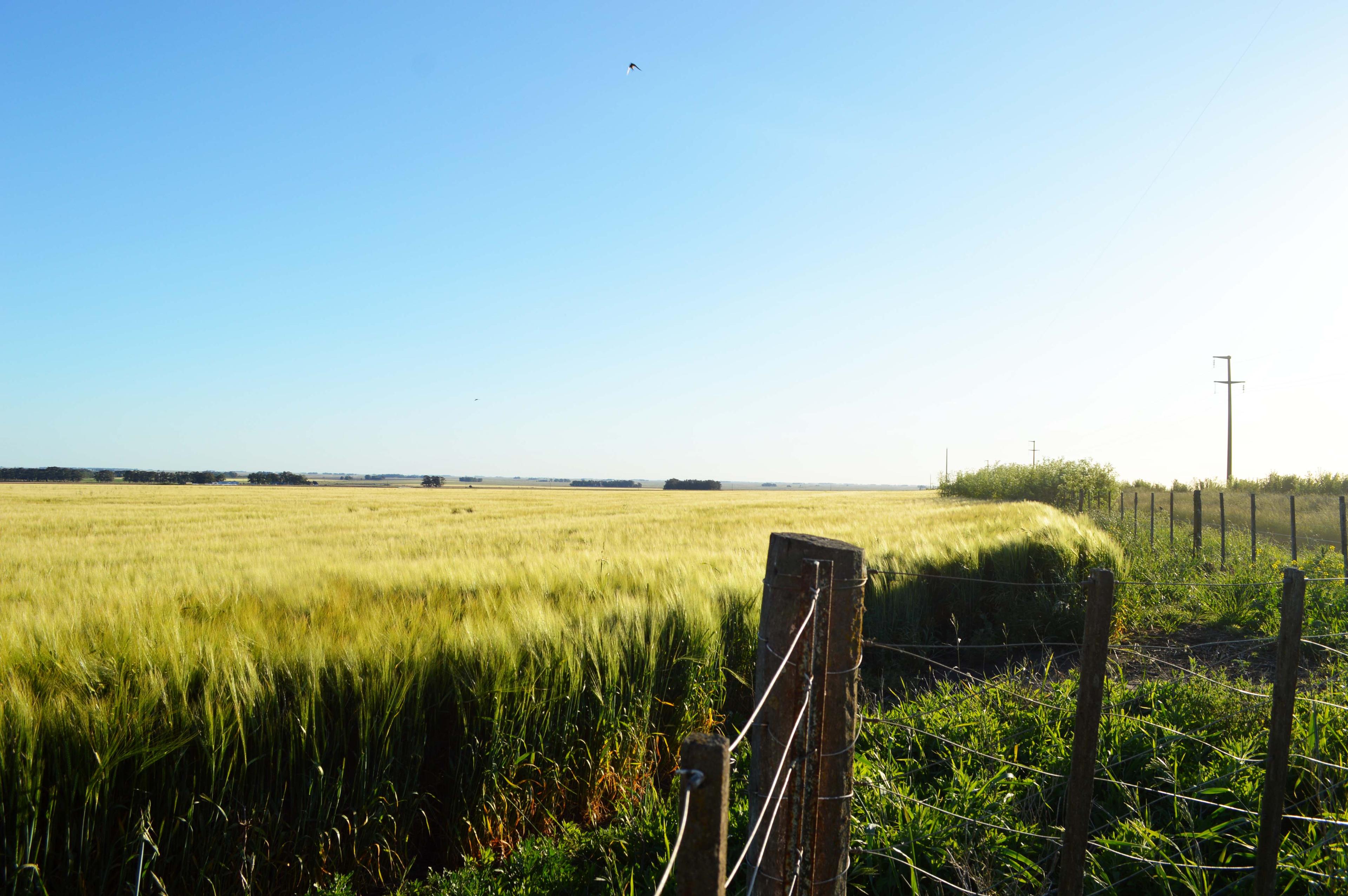 Villa Cacique - Imagen 37