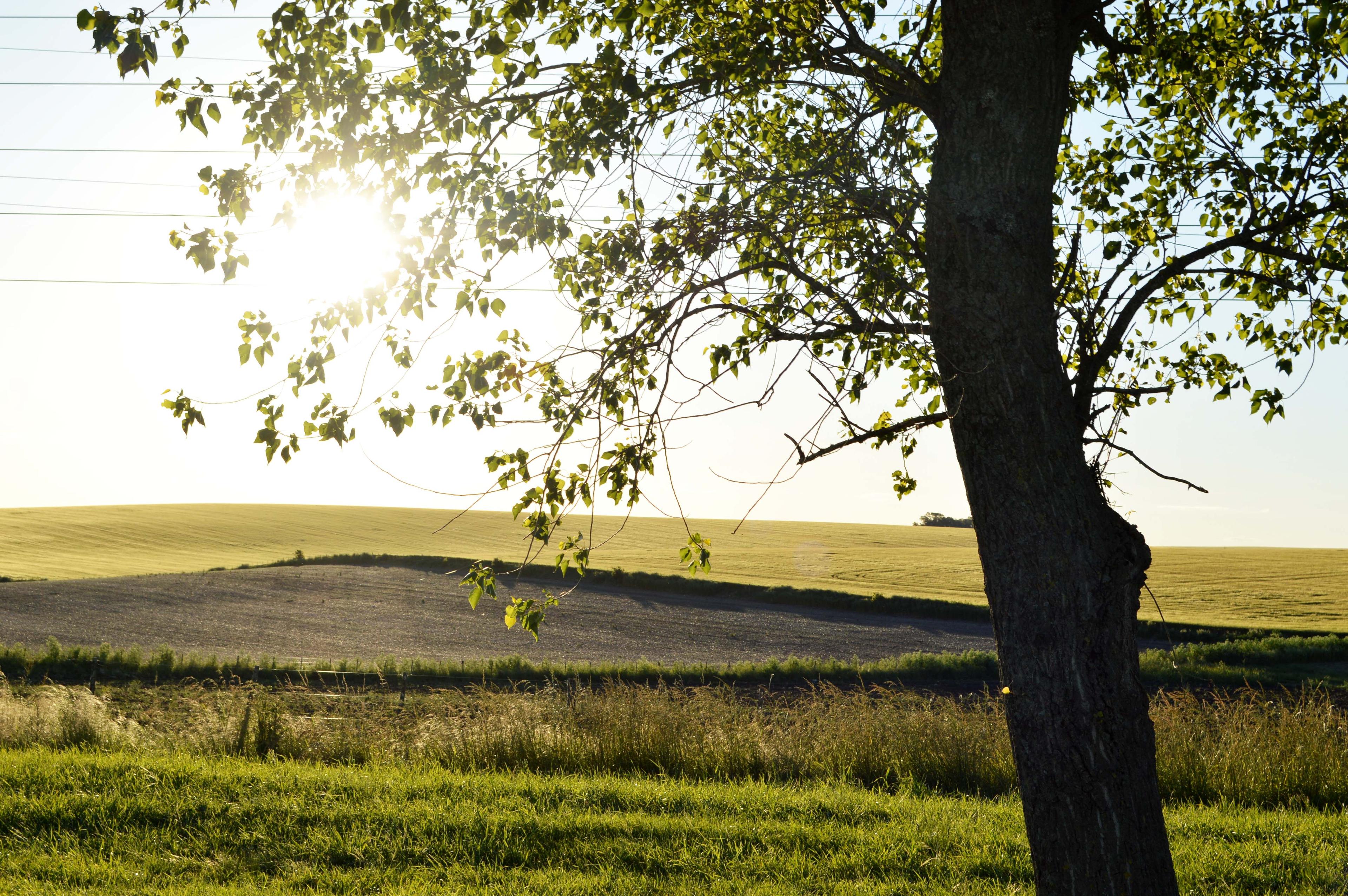 Villa Cacique - Imagen 39