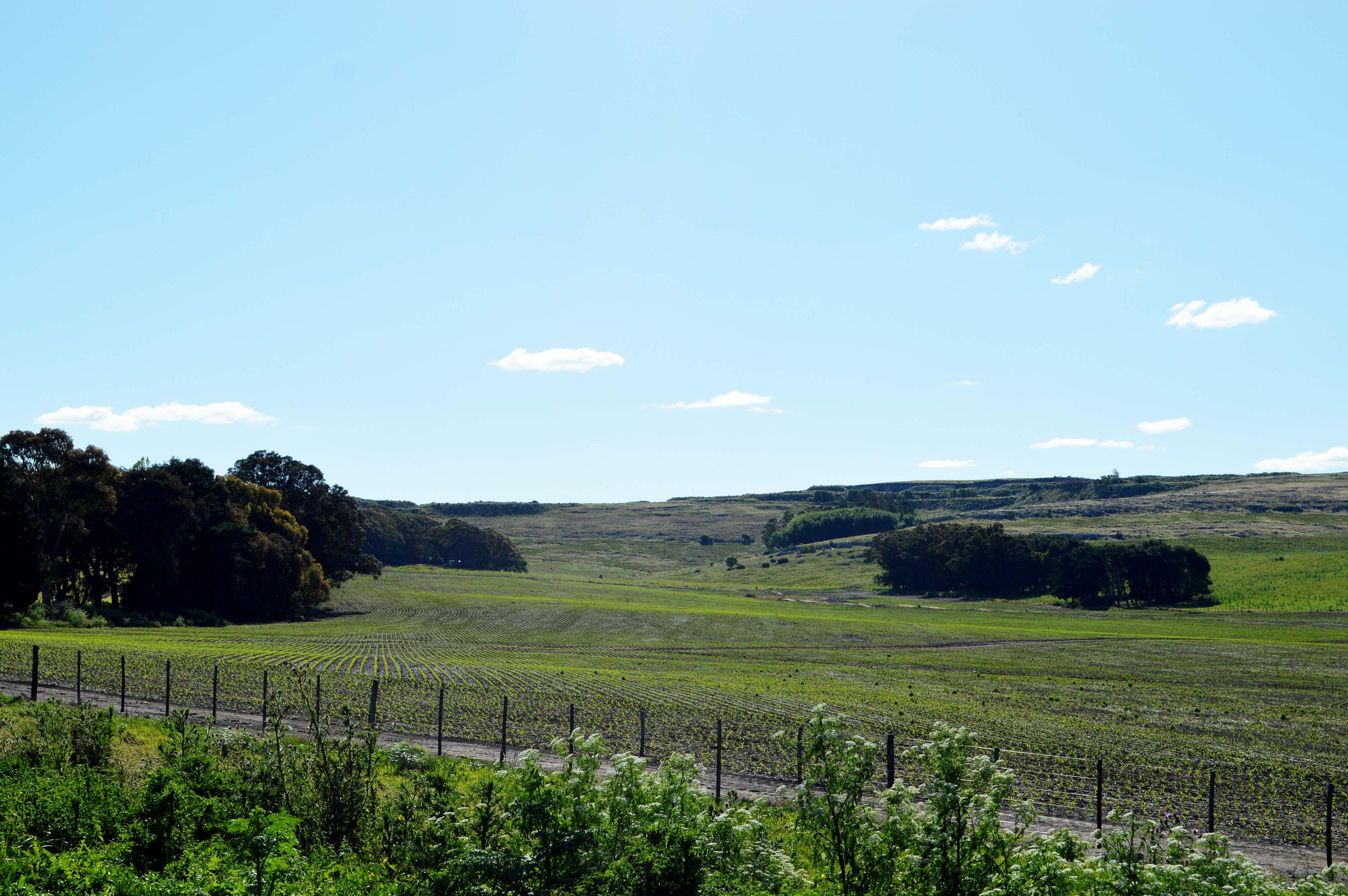 Villa Cacique - Imagen 7